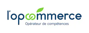 L'opcommerce