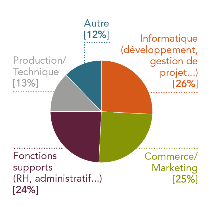 26% Informatique, 25% commerce/marketing, 21% fonctions Support, 13% Prod/technique, 12% autres