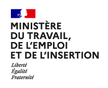 Logo Ministère du Travail, de l'Emploi et de l'Insertion